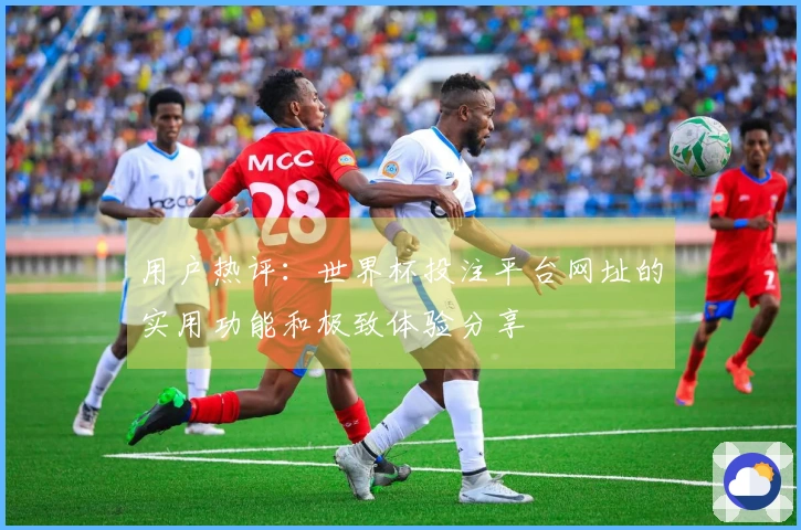 用户热评：世界杯投注平台网址的实用功能和极致体验分享
