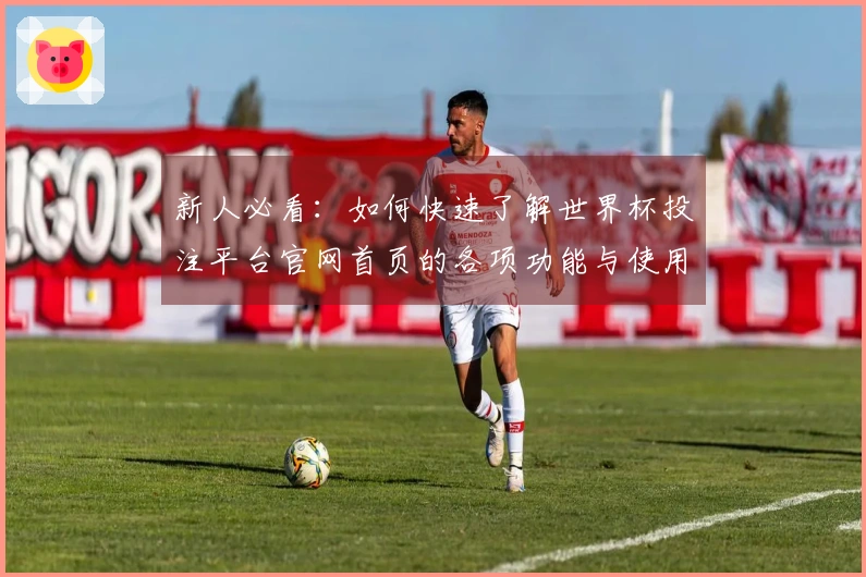 新人必看:如何快速了解世界杯投注平台官网首页的各项功能与使用体验