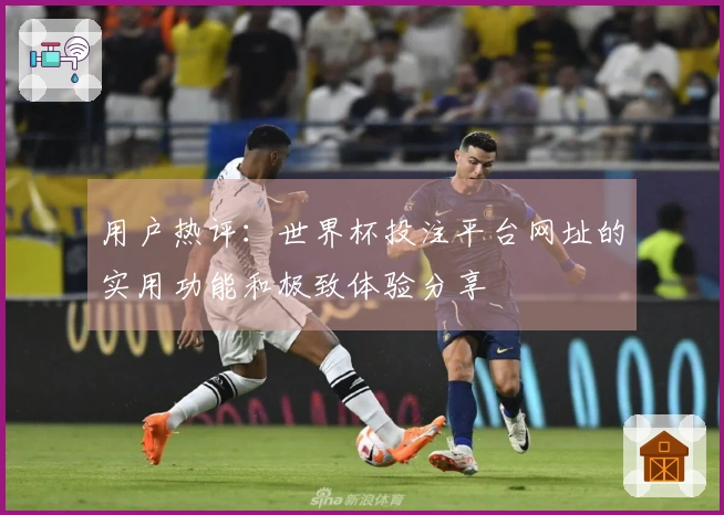 用户热评：世界杯投注平台网址的实用功能和极致体验分享