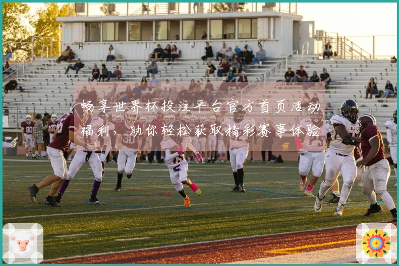 畅享世界杯投注平台官方首页活动福利,助你轻松获取精彩赛事体验