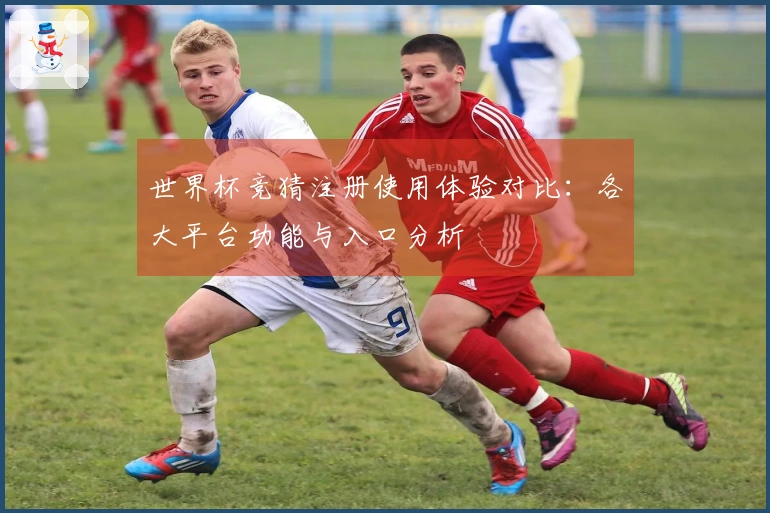 世界杯竞猜注册使用体验对比：各大平台功能与入口分析